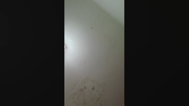 sigilo_total1  24-02-2022